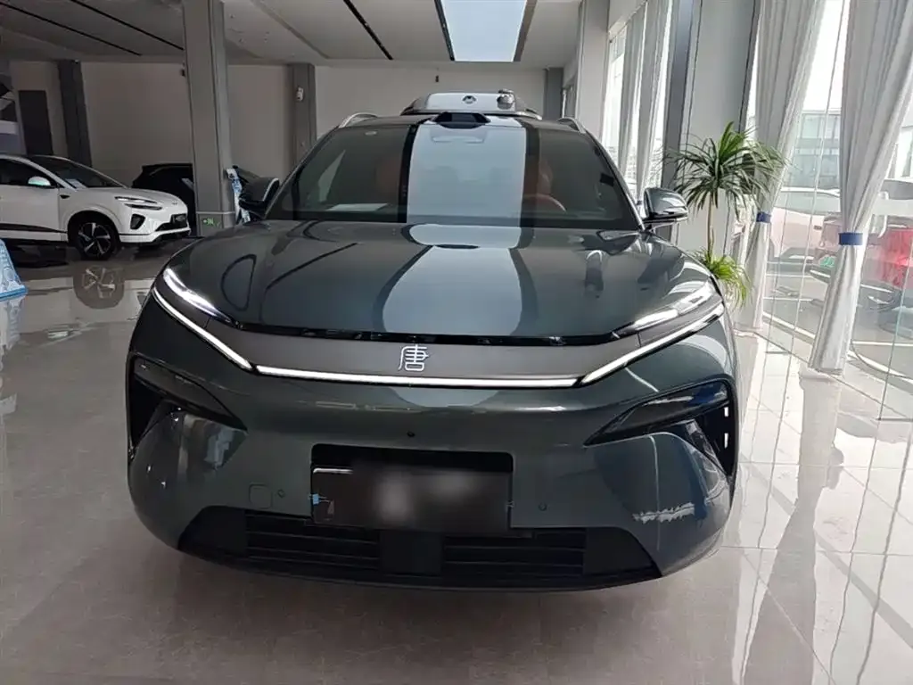 BYD Tang L — фото 3