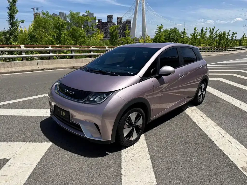 BYD Dolphin