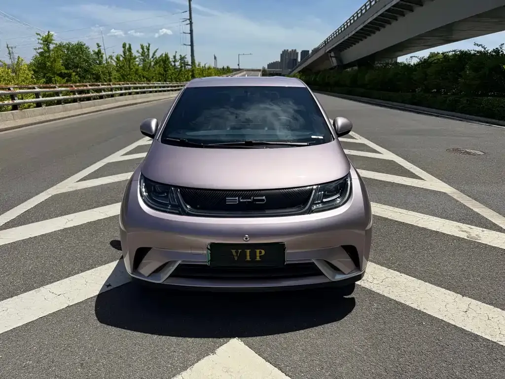 BYD Dolphin 2023 из CN, фото 4