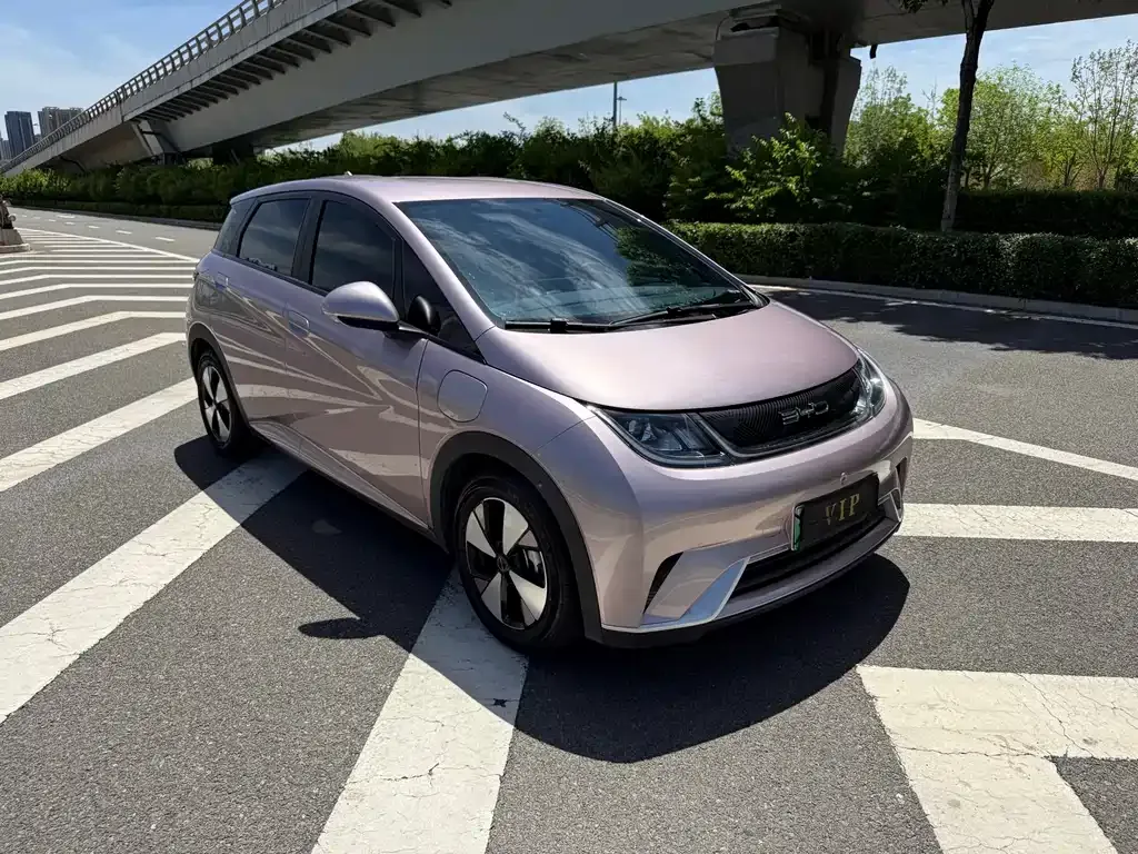 BYD Dolphin 2023 из CN, фото 9