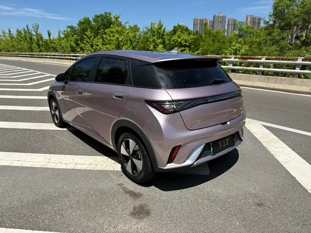 BYD Dolphin 2023 из CN, фото 7