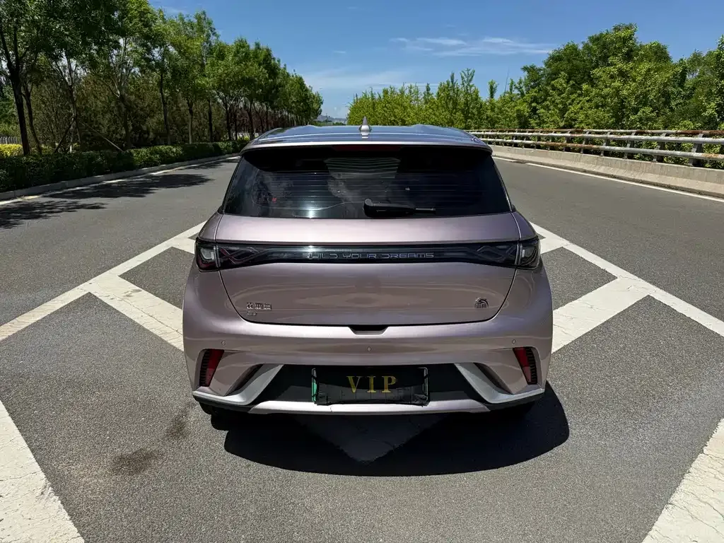 BYD Dolphin 2023 из CN, фото 8