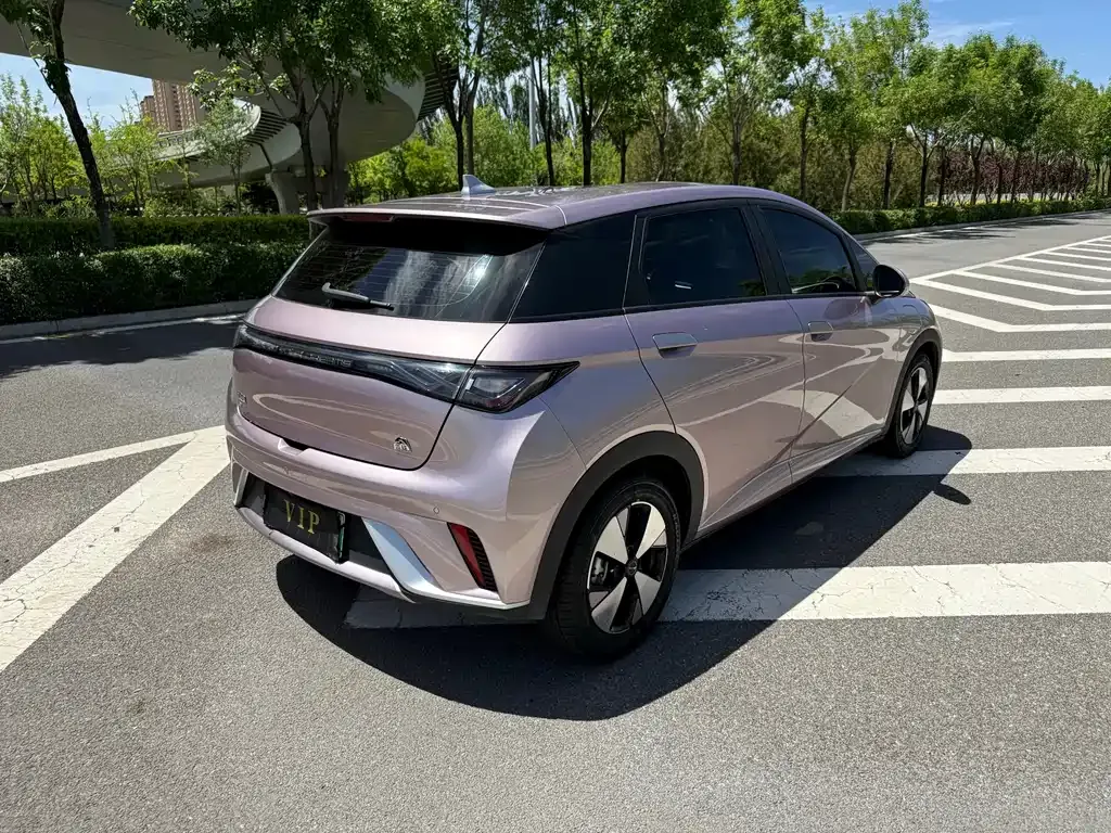 BYD Dolphin 2023 из CN, фото 3