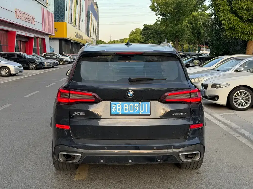 BMW X5 (Import) 2021 из CN, фото 6