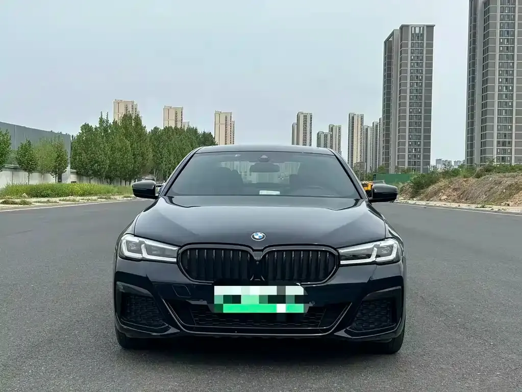 BMW 5 Series New Energy 2021 из CN, фото 7