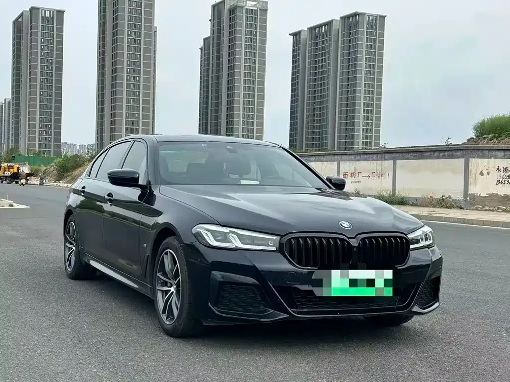 BMW 5 Series New Energy 2021 из CN, фото 8