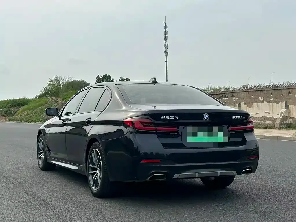 BMW 5 Series New Energy 2021 из CN, фото 6