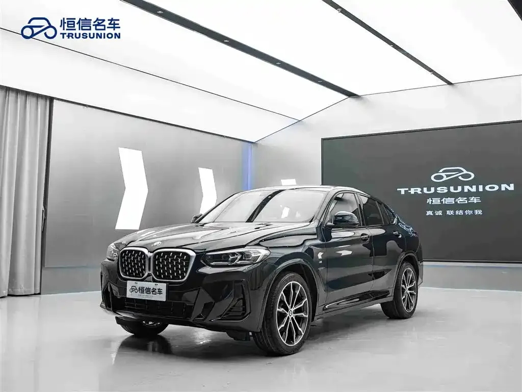 BMW X4 — фото 6