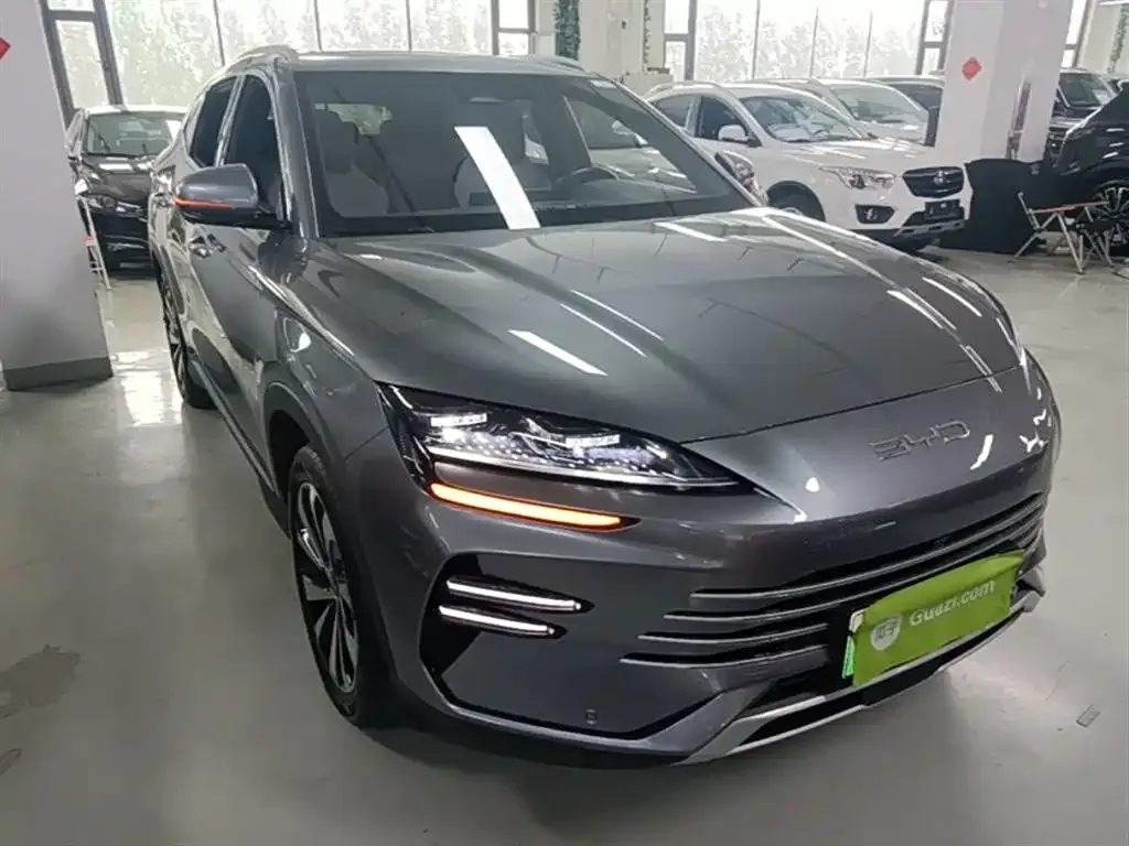 BYD PLUS New Energy — фото 4