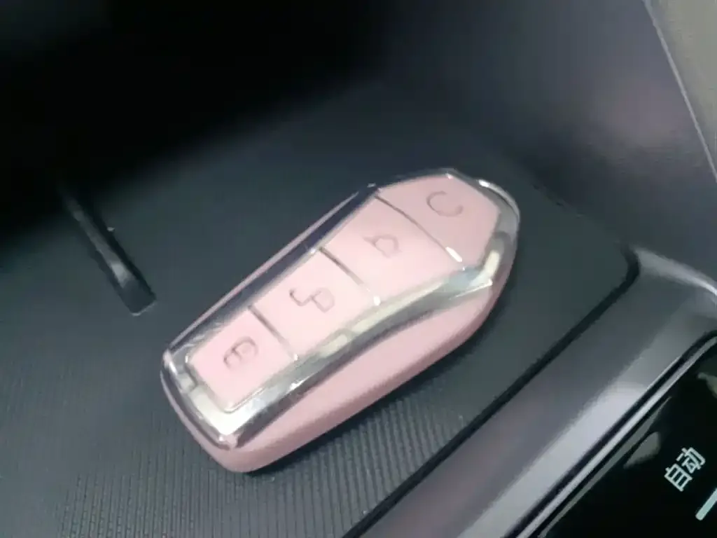 BYD PLUS New Energy — фото 10