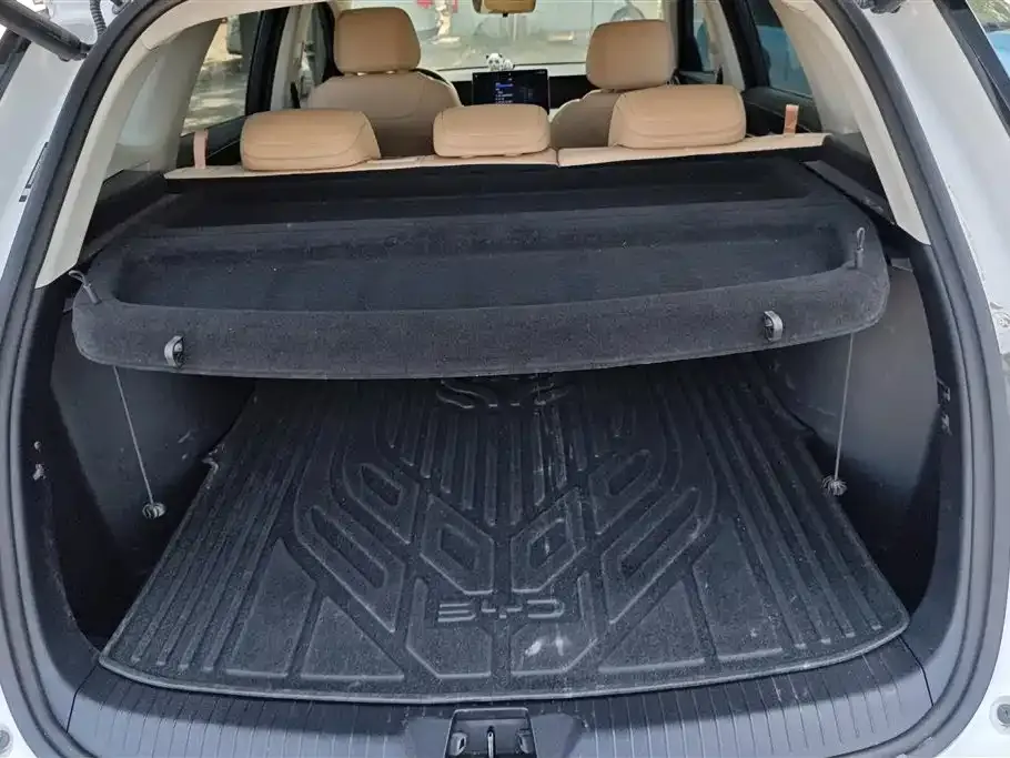 BYD Pro New Energy — фото 10