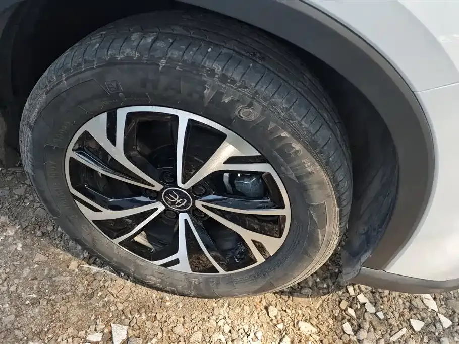 BYD Pro New Energy — фото 8