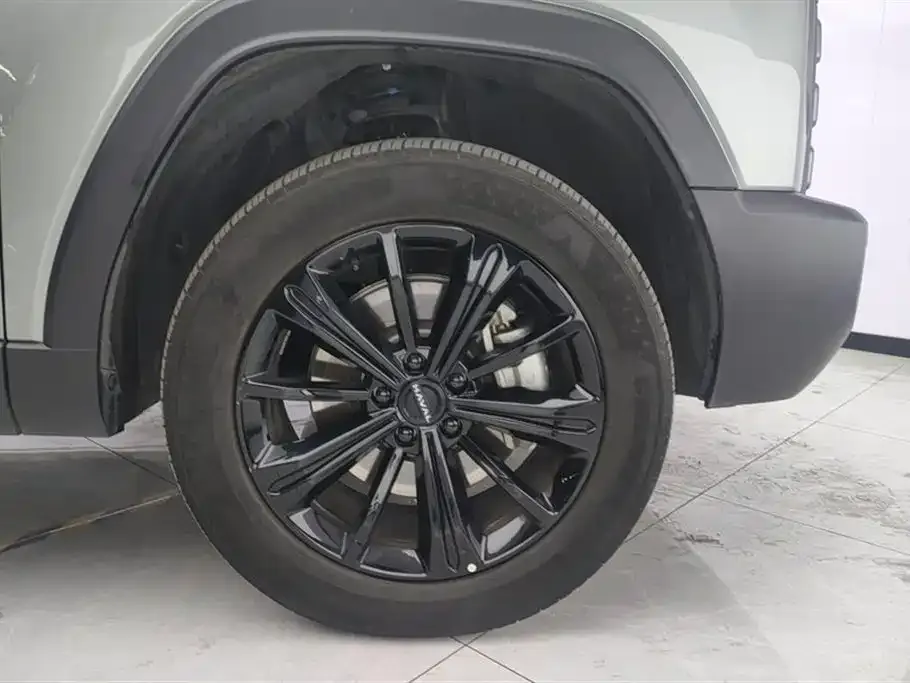 Haval Menglong New Energy 2024 из CN, фото 2