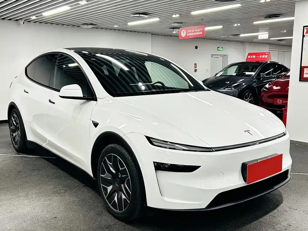 Tesla Model Y L 2025 из CN, фото 9