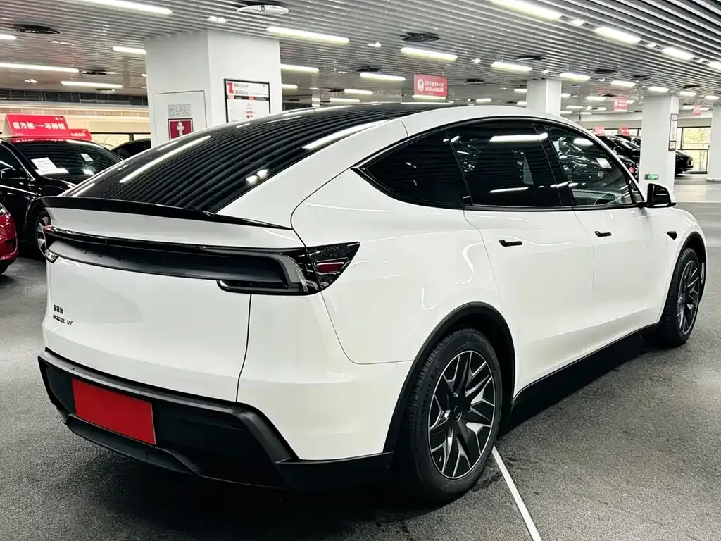 Tesla Model Y L 2025 из CN, фото 4