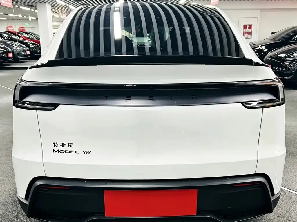 Tesla Model Y L 2025 из CN, фото 7