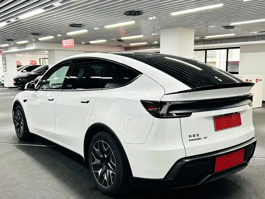Tesla Model Y L 2025 из CN, фото 8