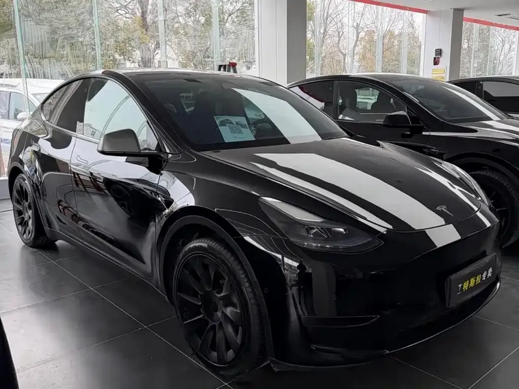 Tesla Model Y — фото 4