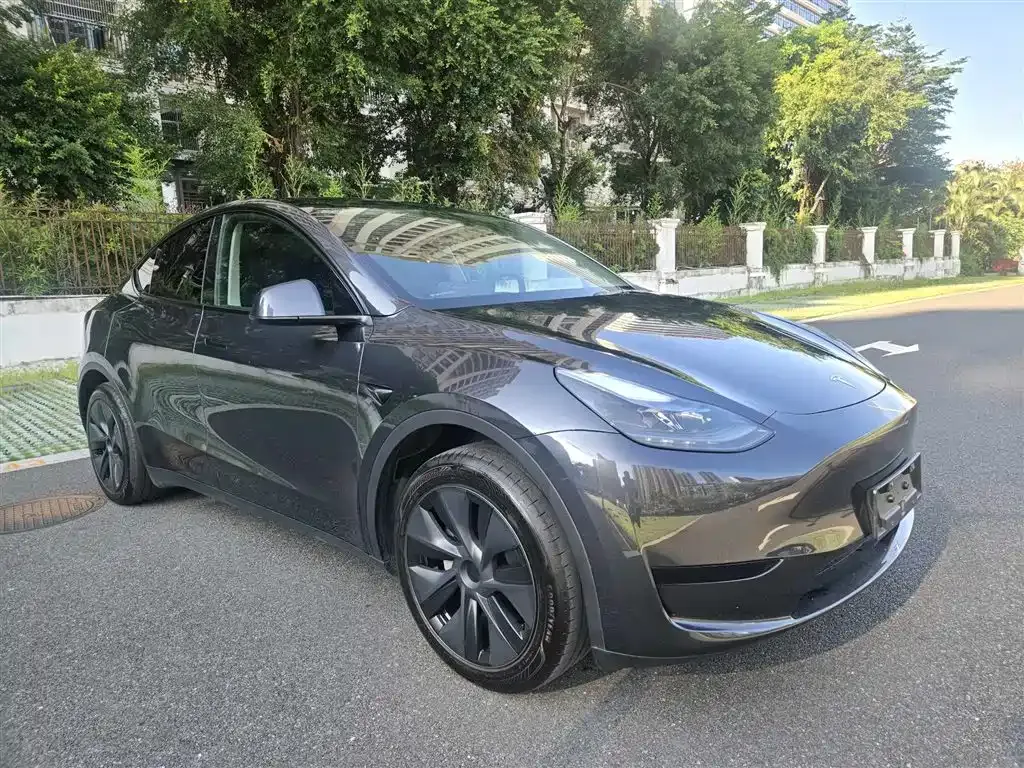 Tesla Model Y — фото 9