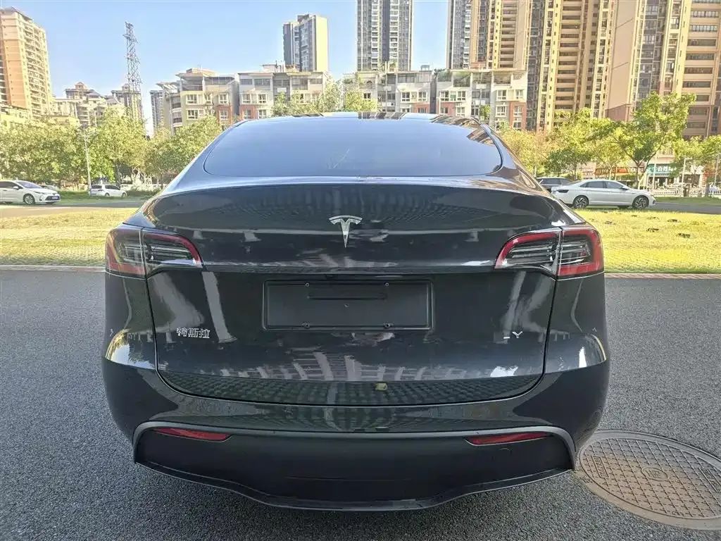 Tesla Model Y — фото 6