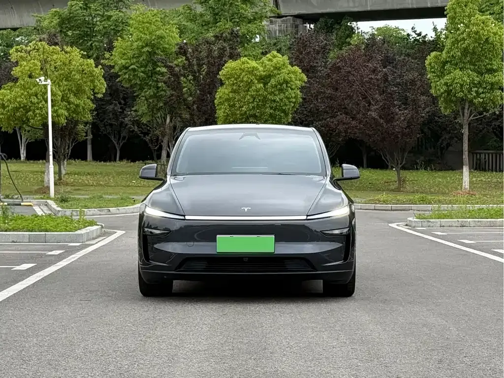 Tesla Model Y — фото 5