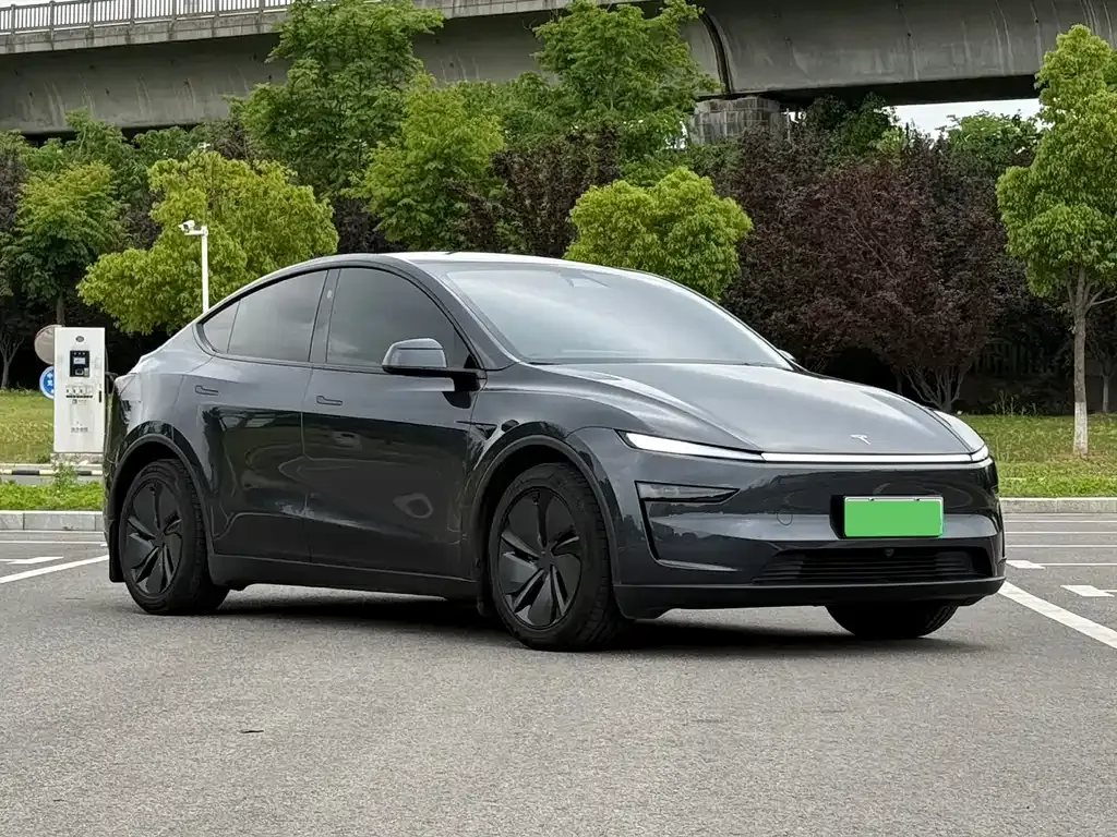 Tesla Model Y — фото 4