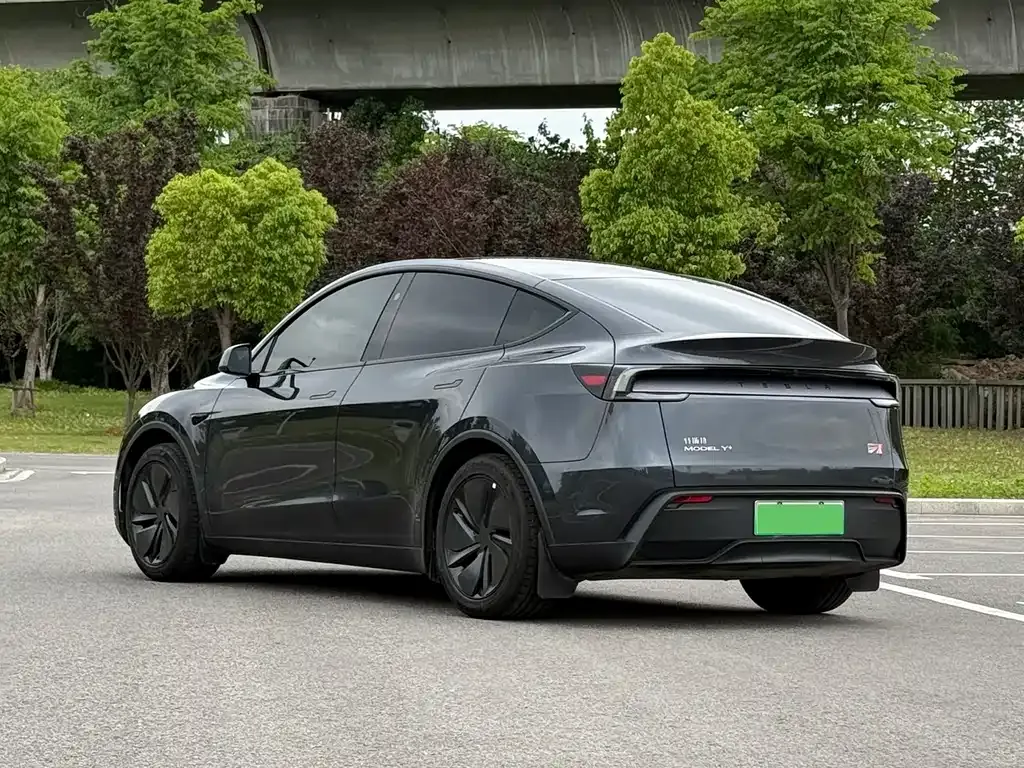 Tesla Model Y — фото 10
