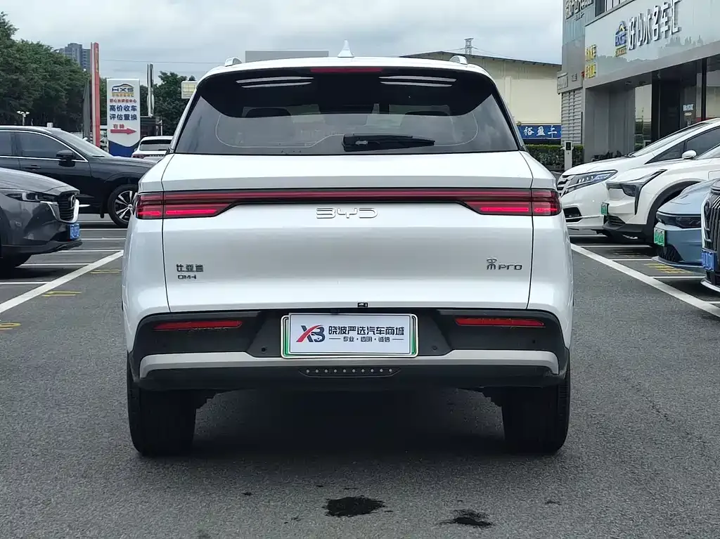 BYD Pro New Energy — фото 9