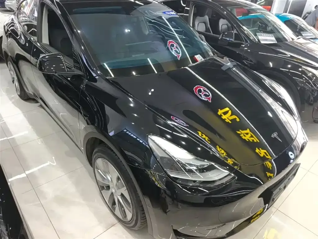 Tesla Model Y — фото 2