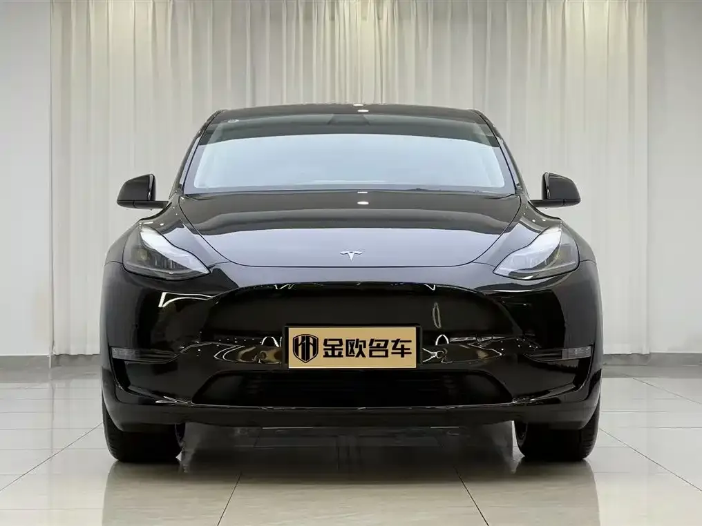 Tesla Model Y — фото 8