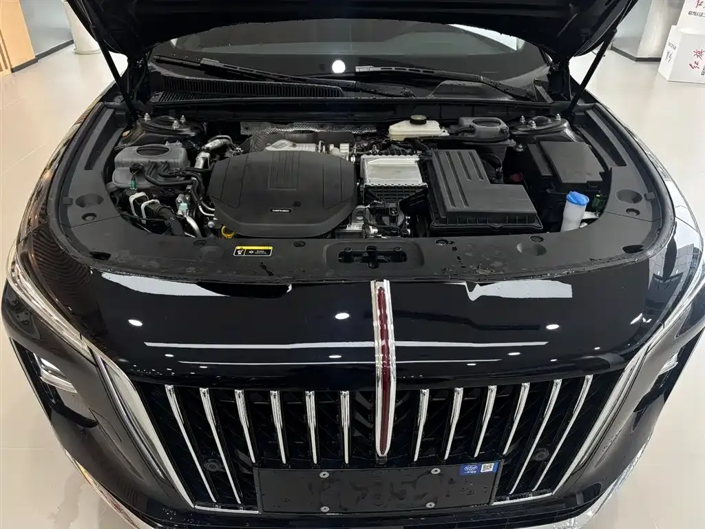 Hongqi H5 PHEV 2025 из CN, фото 8