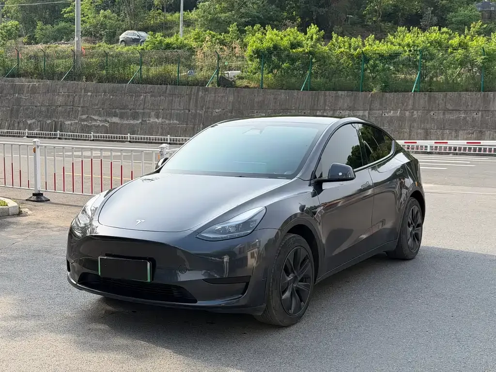 Tesla Model Y — фото 1