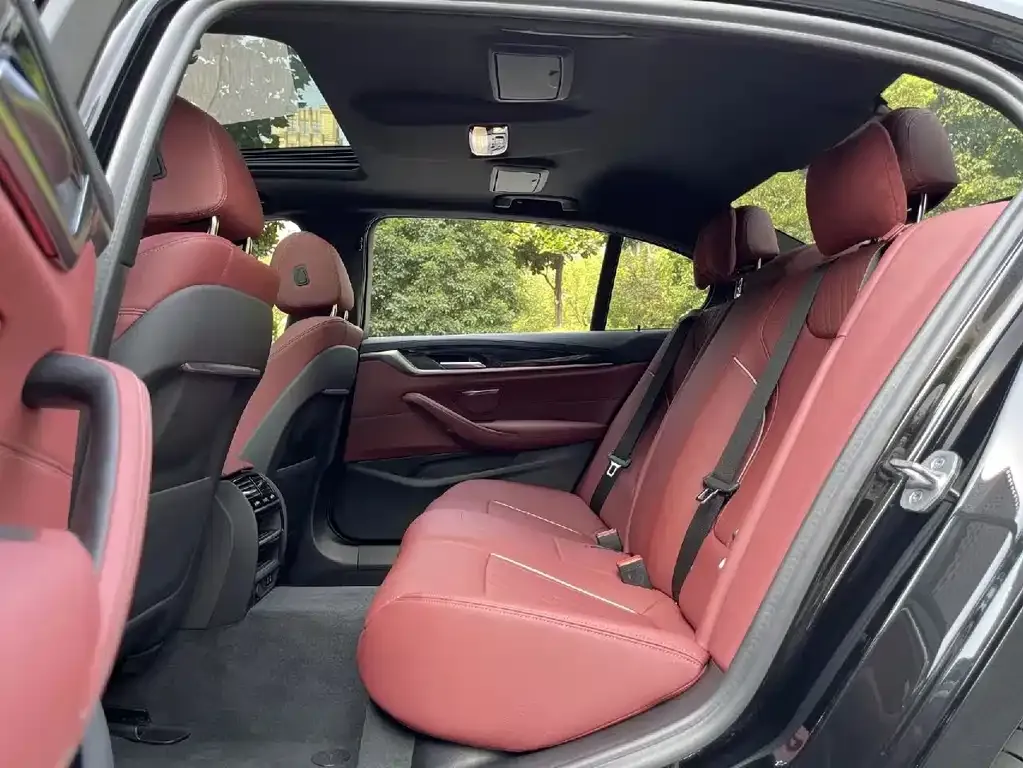 BMW 5 Series 2021 из CN, фото 7