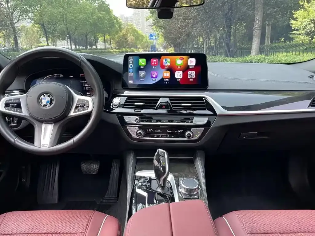 BMW 5 Series 2021 из CN, фото 2