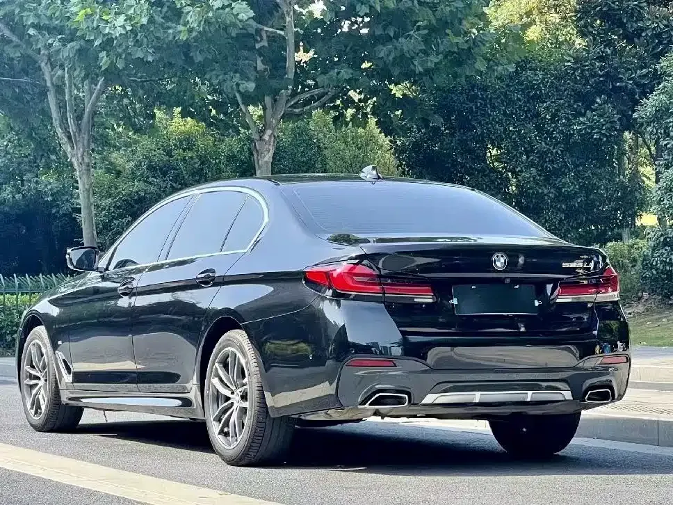 BMW 5 Series 2021 из CN, фото 9