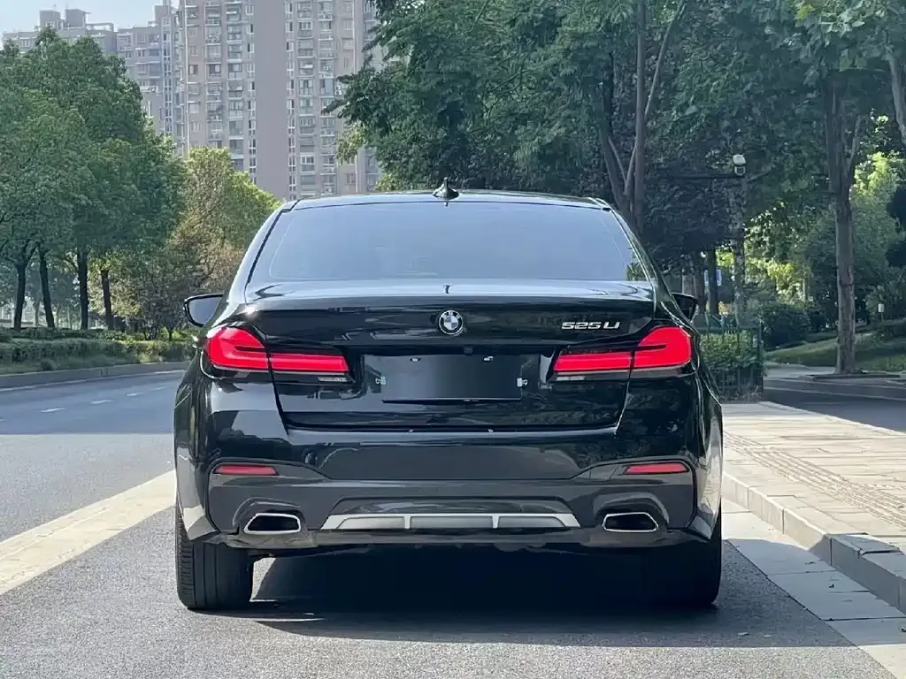 BMW 5 Series 2021 из CN, фото 5