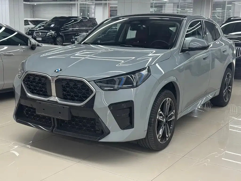 BMW X2 (Import) — фото 1