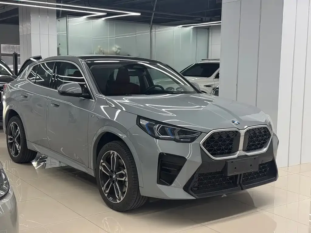 BMW X2 (Import) — фото 4