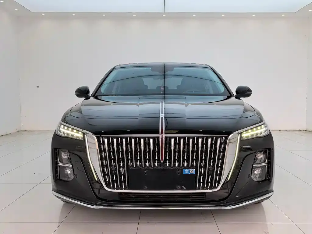 Hongqi H5 2024 из CN, фото 3
