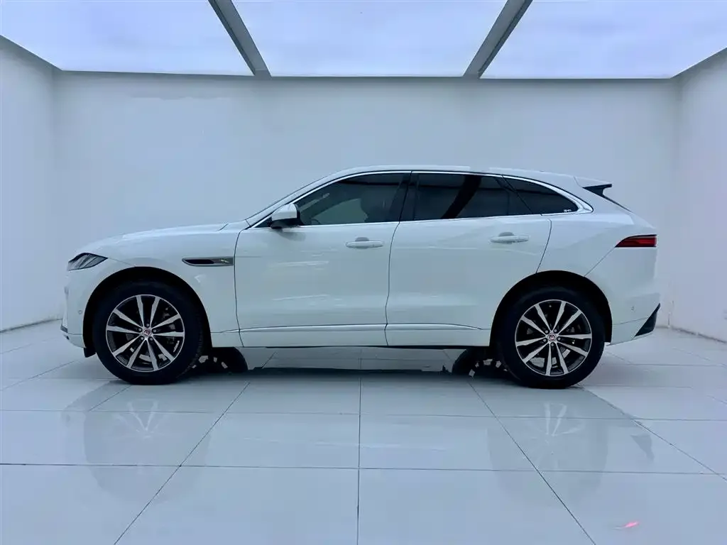 Jaguar F-PACE 2021 из CN, фото 6
