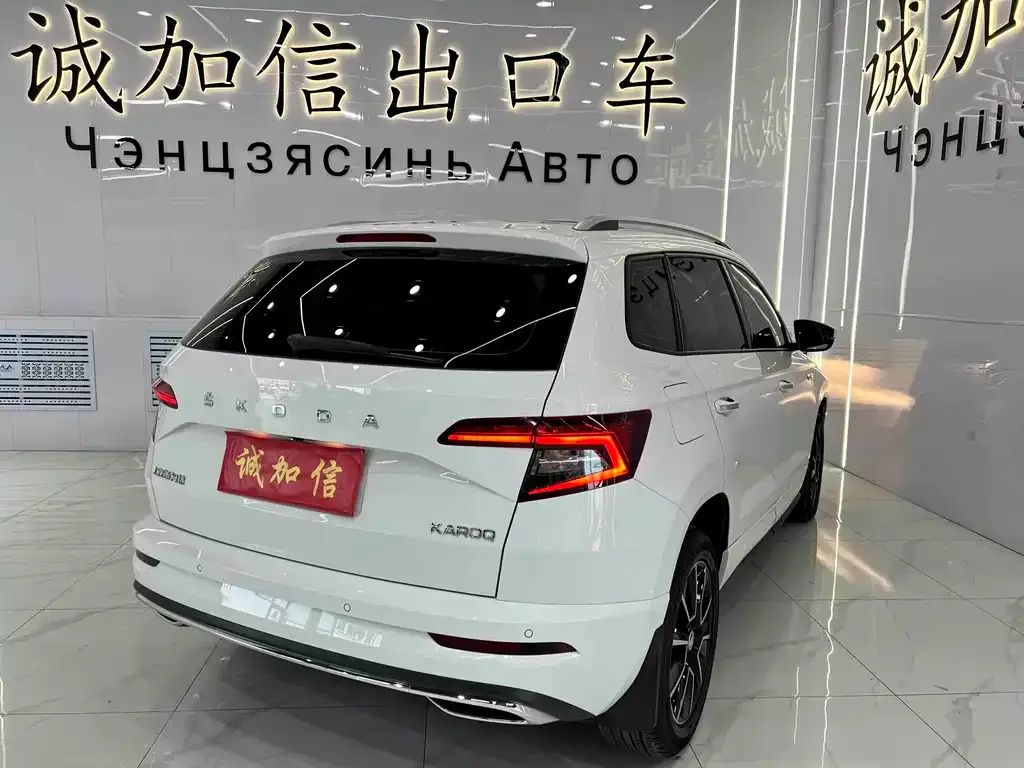 Skoda Karoq 2022 из CN, фото 10