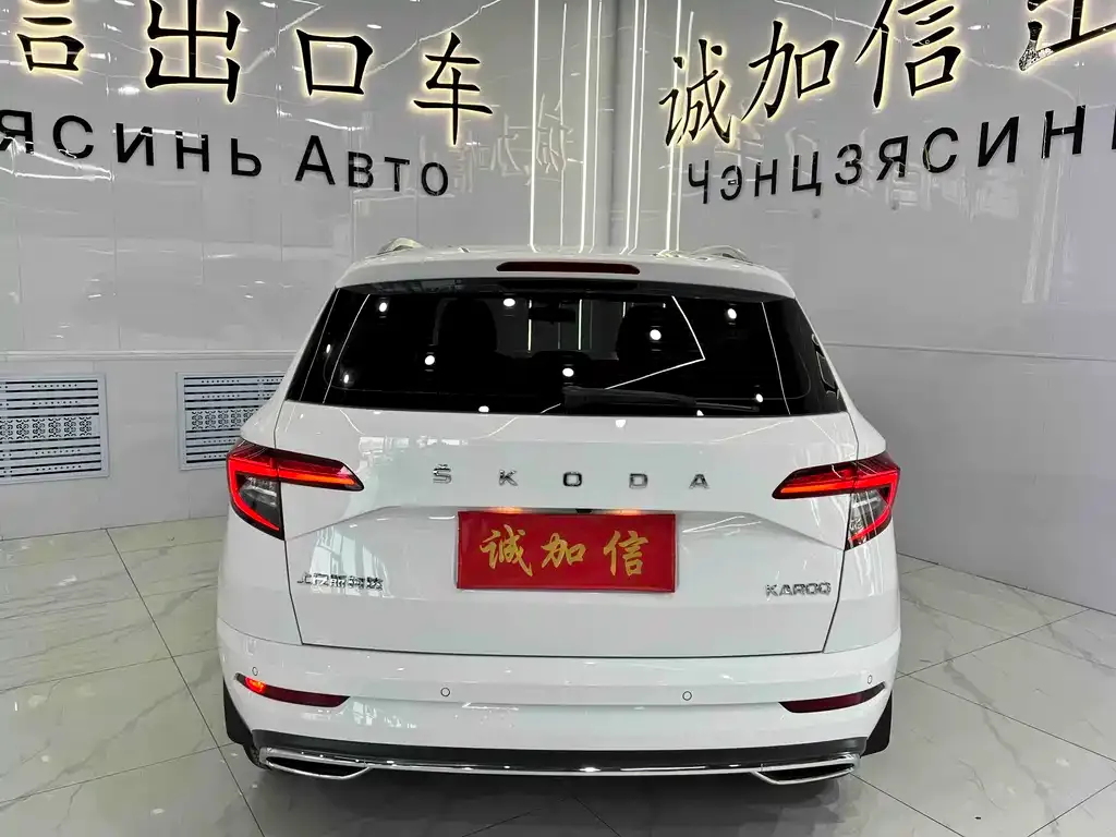 Skoda Karoq 2022 из CN, фото 5