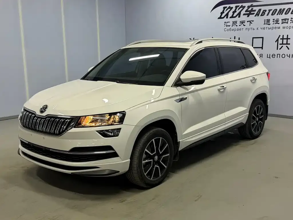 Skoda Karoq 2022 из CN, фото 1