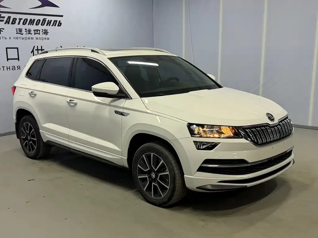 Skoda Karoq 2022 из CN, фото 5