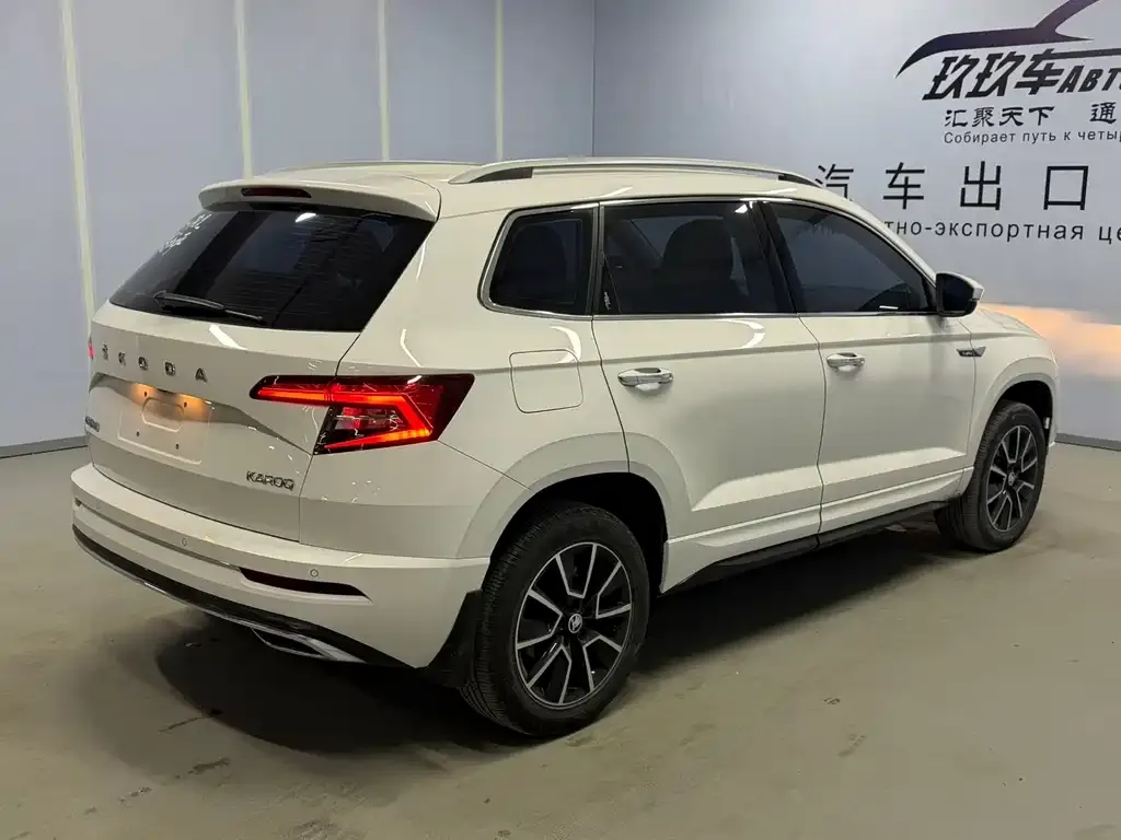 Skoda Karoq 2022 из CN, фото 4
