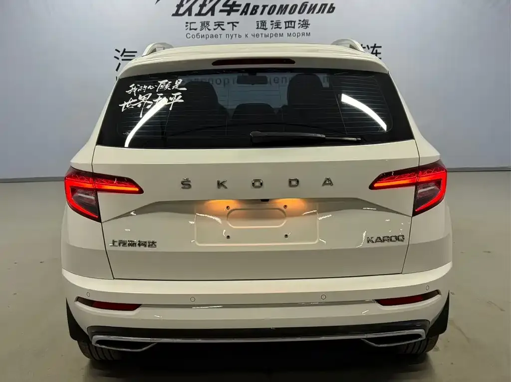 Skoda Karoq 2022 из CN, фото 6