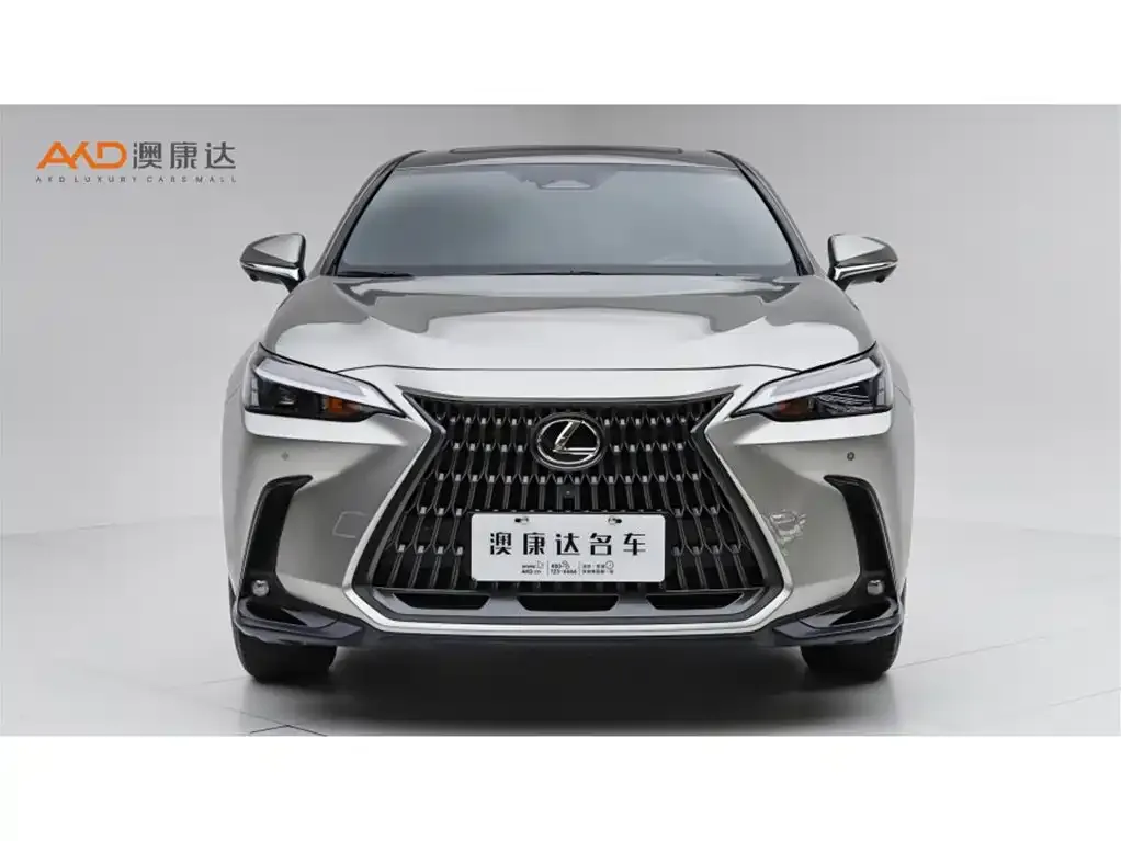 Lexus NX New Energy 2024 из CN, фото 10