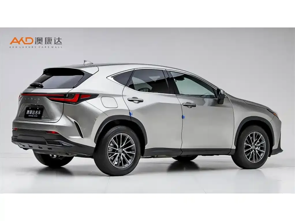 Lexus NX New Energy 2024 из CN, фото 5