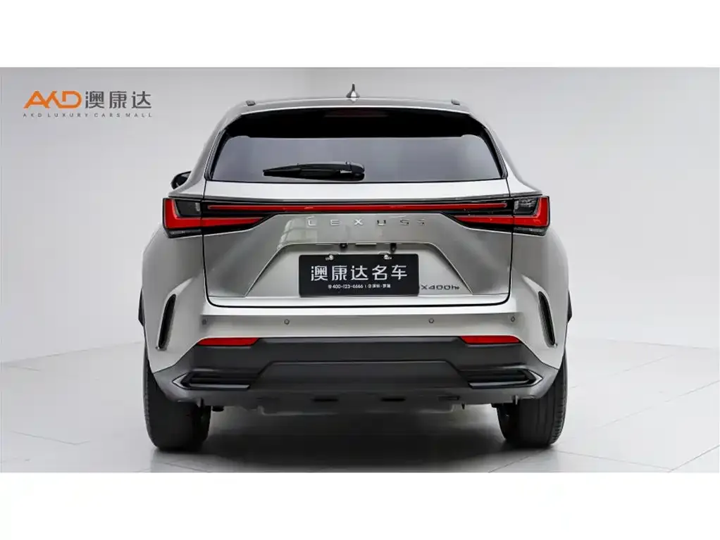 Lexus NX New Energy 2024 из CN, фото 9