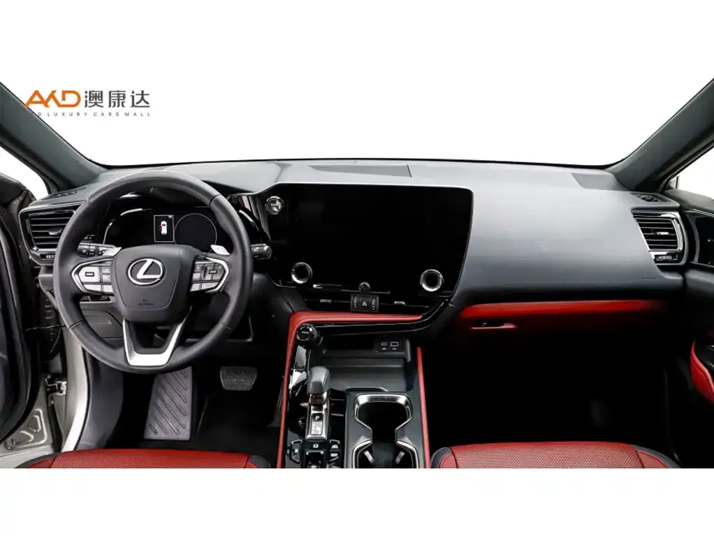 Lexus NX New Energy 2024 из CN, фото 8